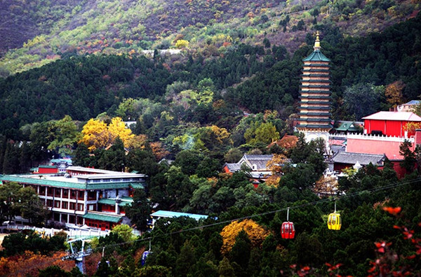 文章附图